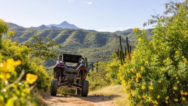 Todos Santos: 2023 RZR XP Pro Ultimate Off-Road Rental - Frequently Asked Questions
