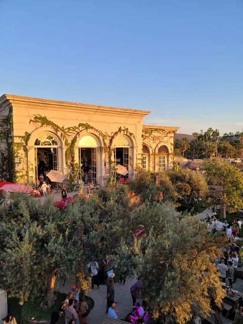 Todos Santos: Art & Culture Experience by Mexican Artist - Interacting With Local Artists