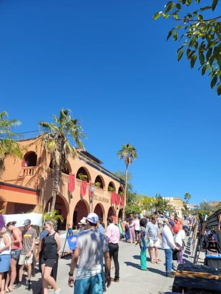 Todos Santos: Art & Culture Experience by Mexican Artist - Important Considerations