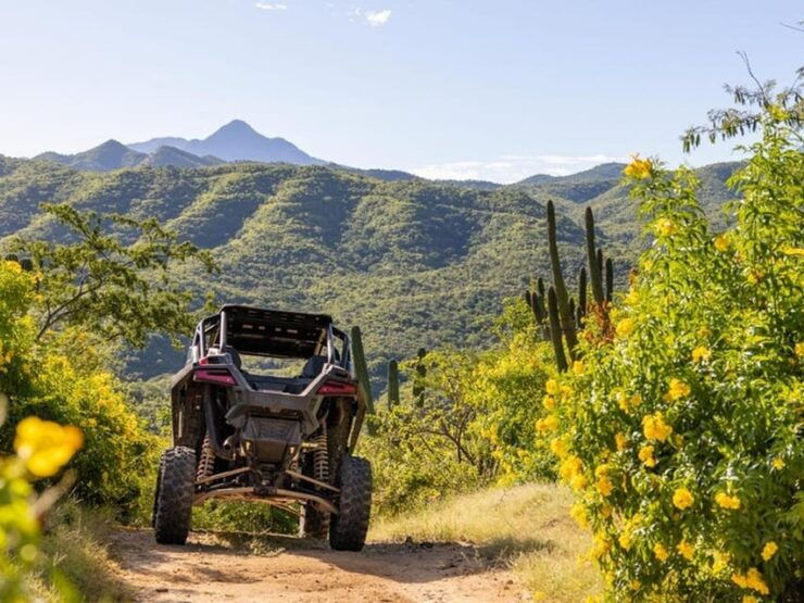 Todos Santos: Baja Rock Pirates Guided Off-Road Adventure - Good To Know