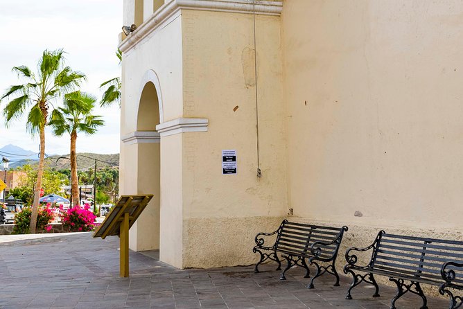 Todos Santos City Tour - Discovering Local Art and Crafts