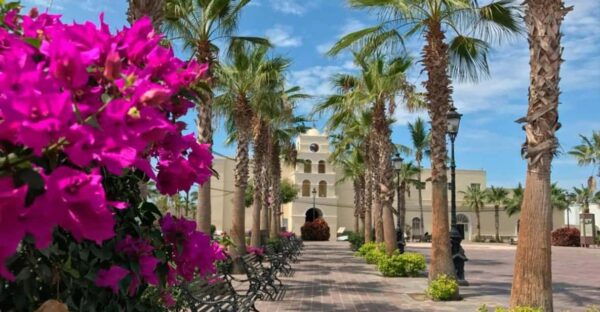 Todos Santos Encounter Tour - Tour Duration and Price