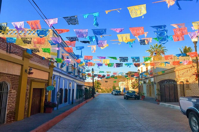 Todos Santos Magical Town Guided Tour - Free Cancellation and Reservation