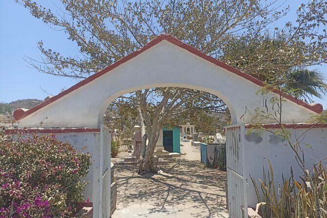 Todos Santos Treasure Hunt - Breaking Down the Experience: What to Expect from the Treasure Hunt