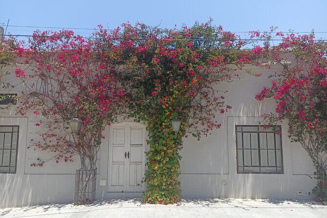 Todos Santos Treasure Hunt - Final Thoughts: Who Will Love This?