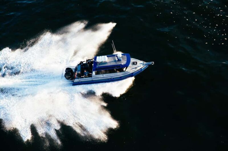Tofino: Covered Boat Winter Wildlife Watching Tour - Good To Know