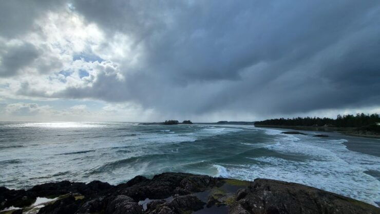 Tofino: Surf, Soak and Rainforest - Experience Highlights