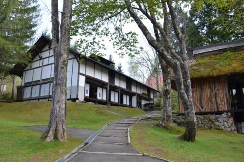 Togakushi Day Tour:Hands-on Soba Noodles,Ninja Village,Hidden Shrine - A full day, with transport from Nagano included