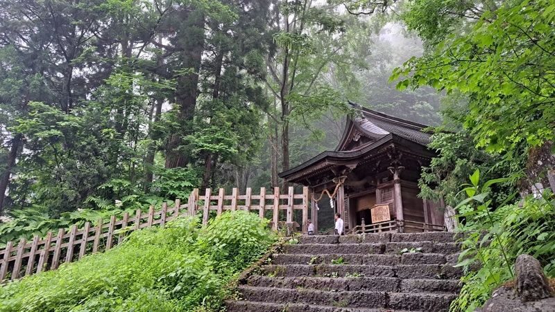 Togakushi Day Tour:Hands-on Soba Noodles,Ninja Village,Hidden Shrine - Who will enjoy this day most?