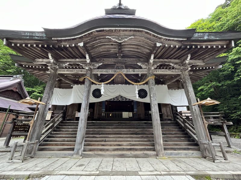 Togakushi Day Tour:Hands-on Soba Noodles,Ninja Village,Hidden Shrine - Should you book the Togakushi day tour?