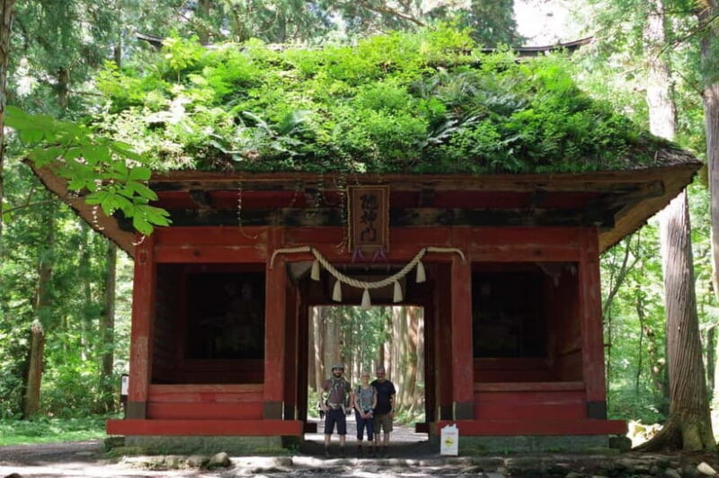 Togakushi: Sacred Forest Walk & Soba Traditions - A Deep Dive into the Experience
