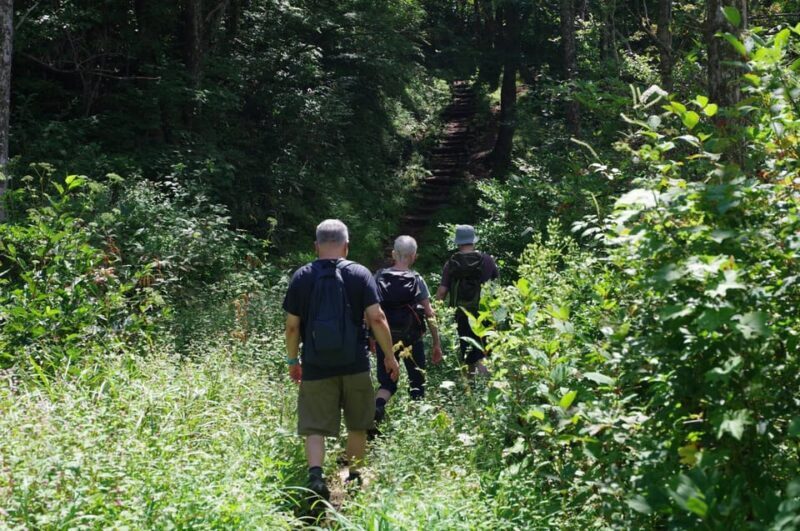 Togakushi: Sacred Forest Walk & Soba Traditions - Practical Details and Tips