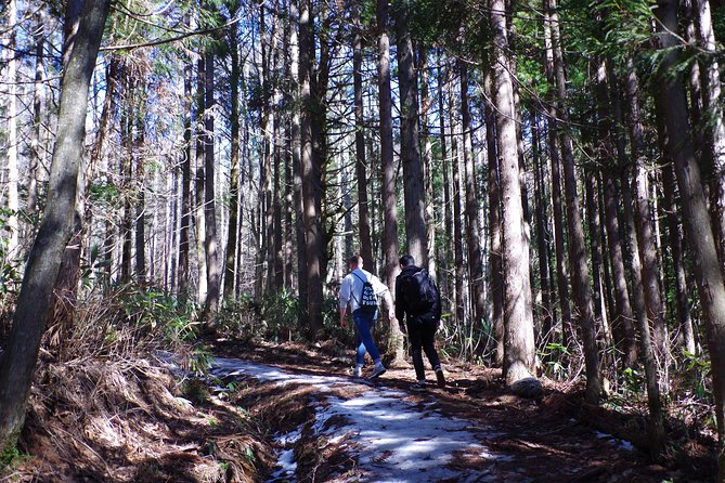 Togakushi Shrine Hiking Trails Tour in Nagano - Tips for a Memorable Hiking Experience