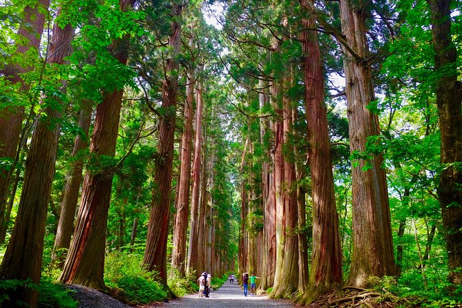 Togakushi Shrine Hiking Trails Tour in Nagano - Practical Information and Tour Details