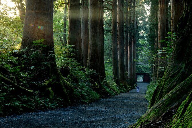 Togakushi Shrine Private Tour with English Local Guide - Exploring the Togakushi Shrine Private Tour with an English Guide