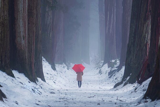 Togakushi Shrine Private Tour with English Local Guide - Good To Know