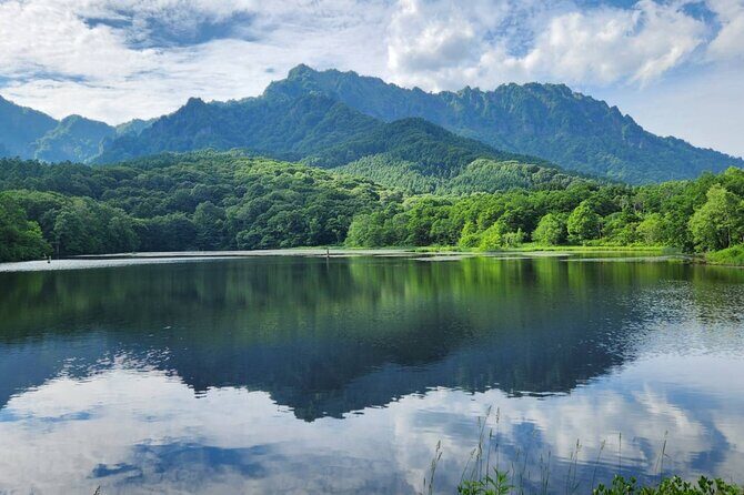 Togakushi Shrine Private Tour with English Local Guide - The Sum Up