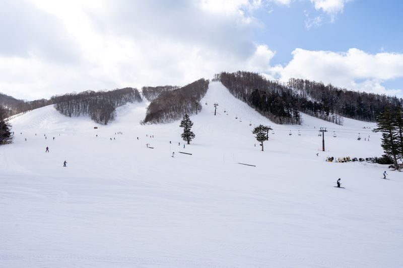 Togakushi Ski Resort Private Ski Tour from Nagano - A mountain day that starts in Nagano