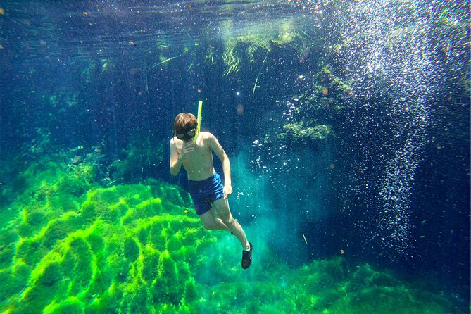 Toh Tours Adventures Cenotes Chemuyil - The Sum Up