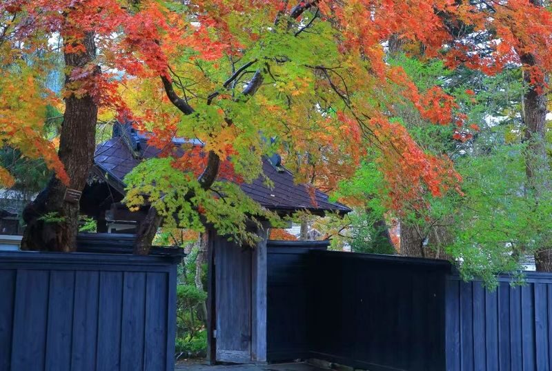 Tohoku, Japan | Akita Private Car Tour: Akita City & Lake Tazawa/Kashima/Kakunodate/Dakigaeri Gorge | Customizable Itinerary - A private car solves Akita’s transport puzzle
