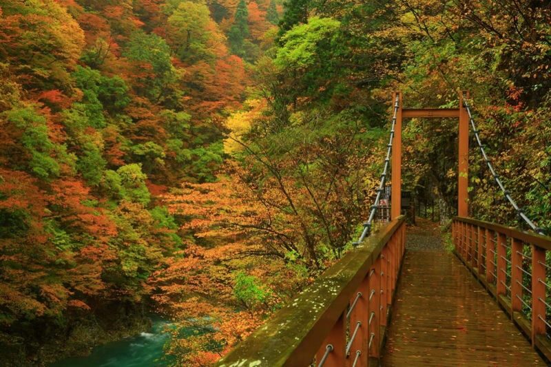 Tohoku, Japan | Akita Private Car Tour: Akita City & Lake Tazawa/Kashima/Kakunodate/Dakigaeri Gorge | Customizable Itinerary - What the eight-hour day looks like