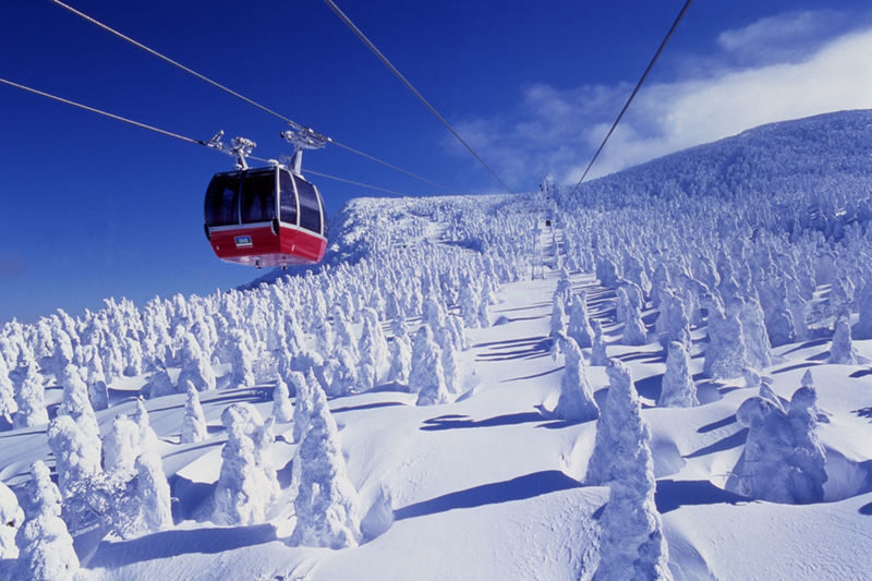 Tohoku One-Day Tour: Ginzan Onsen-Zao Ropeway & Ice Monsters-Okama Crater-Seasonal Fruit Picking-Special Lunch One-Day Tour (Departing from Sendai) - Fruit picking: choose the right plan