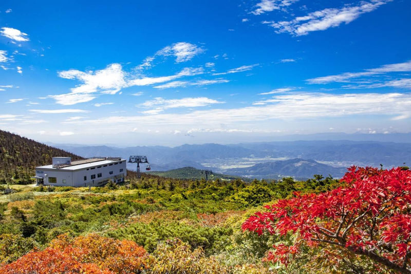 Tohoku One-Day Tour: Ginzan Onsen-Zao Ropeway & Ice Monsters-Okama Crater-Seasonal Fruit Picking-Special Lunch One-Day Tour (Departing from Sendai) - Should you book?
