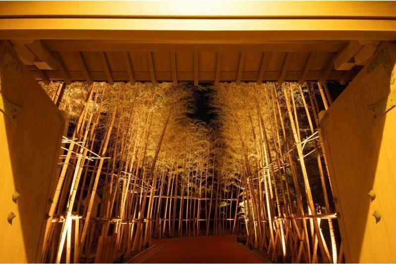 Toi Gold Mine (Toi Kinzan) Admission Ticket - What the starting price does and doesn’t tell you