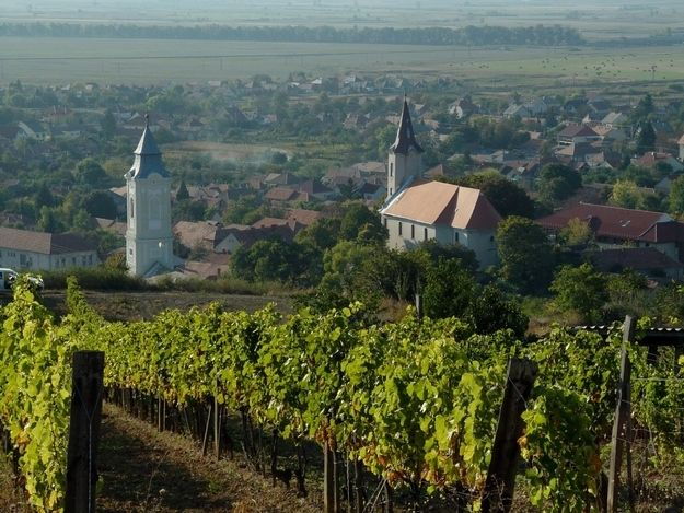 Tokaj and Sárospatak Private Day Tour From Budapest - Tour Duration and Itinerary