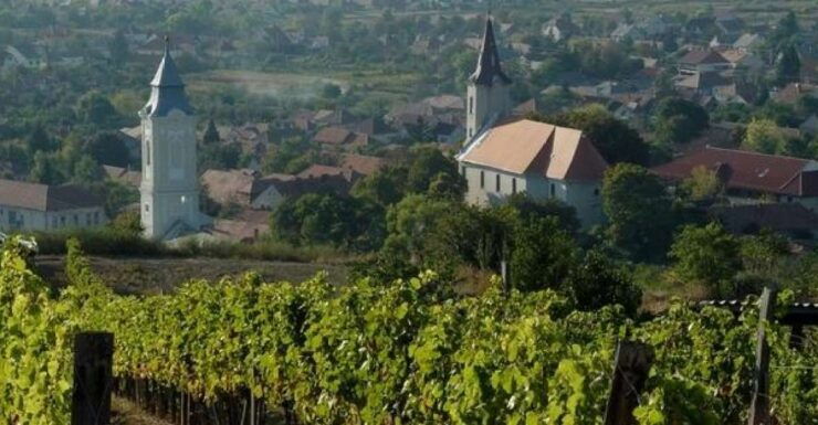 Tokaj and Sárospatak Private Day Tour From Budapest - Booking Information and Cancellation Policy