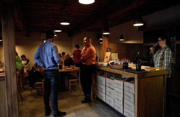 Tokaj: Classic Wine Tasting - Booking Information for Tokaj Wine Tasting