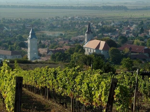 Tokaj Private Day Tour from Budapest - Final Thoughts: Is It Worth It?