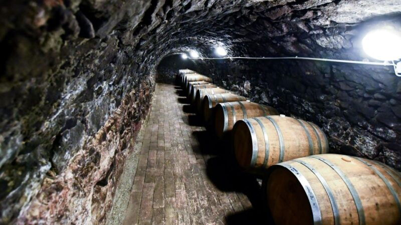 Tokaj: Vineyard Tour & Tasting - Introduction: What to Expect from the Tokaj Vineyard Tour & Tasting
