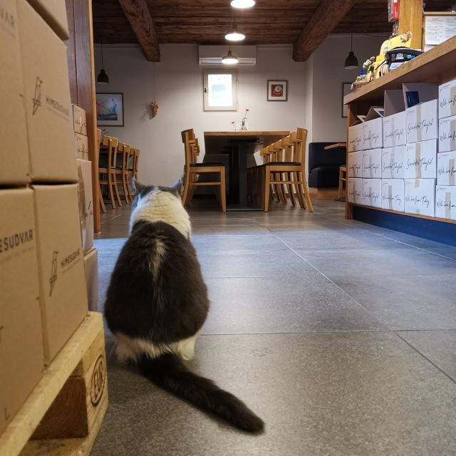 Tokaj: Vineyard Tour & Tasting - Final Thoughts