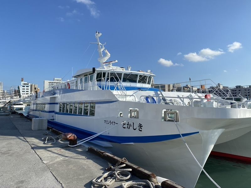 Tokashiki Island Boat Snorkeling Experience - What the boat snorkeling session involves