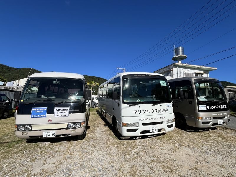 Tokashiki Island Boat Snorkeling Experience - Is this Tokashiki day trip right for you?