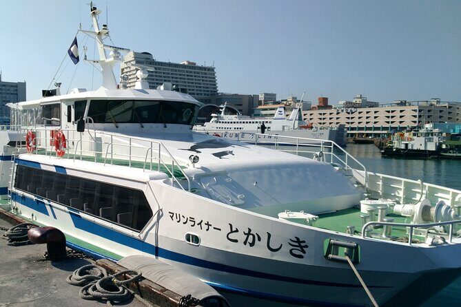 Tokashiki Island Day Trip from Naha - Who is This Tour Best For?