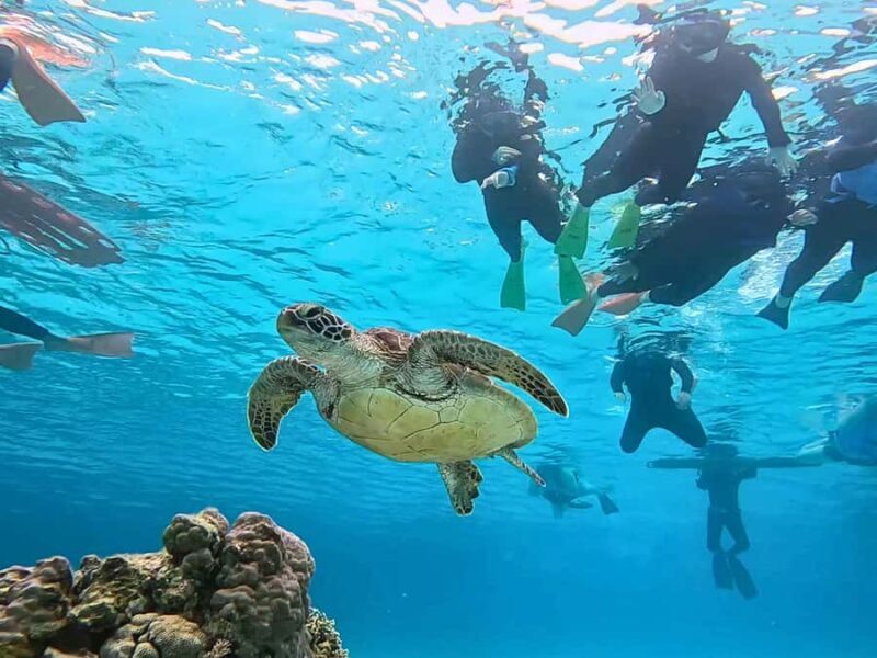 Tokashiki Tokashiku Beach: Banana Boat Snorkeling (No Ferry) - What to Expect During the Tour