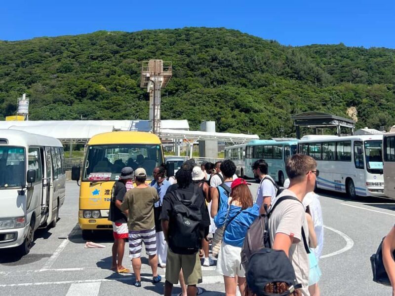 Tokashiki Tokashiku Beach: Banana Boat Snorkeling (No Ferry) - What Reviewers Say