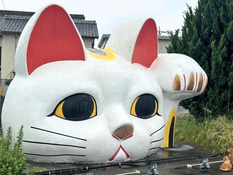 Tokoname Guided Tour With Pottery Streets & Craft Culture - Who Will Love This Tour?