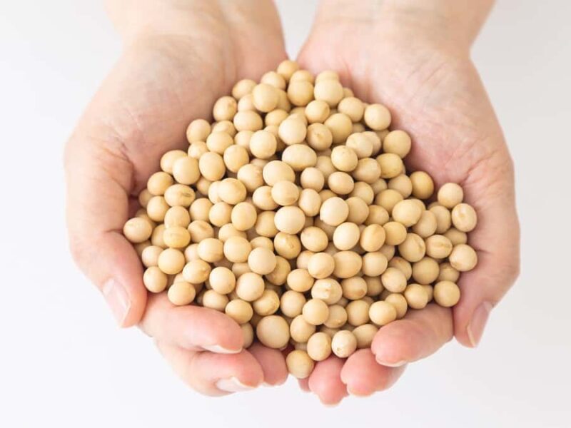 Tokoname: Miso Brewery Tour with Tasting - Exploring the Miso Brewery Tour: What’s in Store