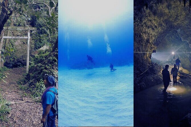 Tokunoshima Nature Experience Program on a World Heritage island - The Full Breakdown of the Tokunoshima Nature Experience Tour