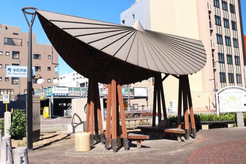 Tokushima: Awa Odori Cultural Experience & Live Performance - Practical Details and Value