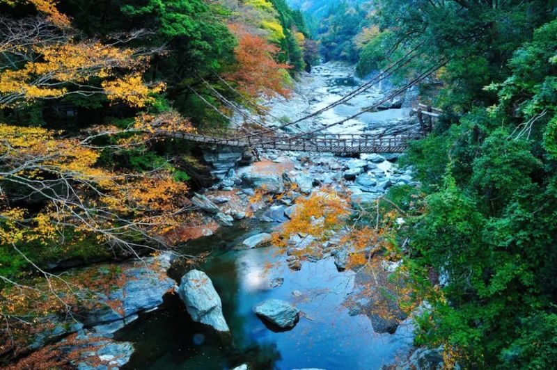 Tokushima Private Car Charter Day Tour: Otsuka Museum of Art / Naruto Whirlpools / Iya Kazurabashi Vine Bridge (Customize Your Itinerary) - Choose Naruto’s coast or Iya’s mountain roads
