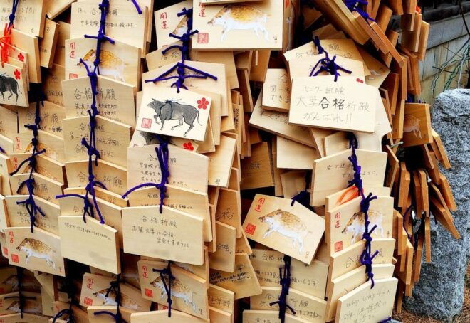 Tokyo: 1.5 Hour Shrine Walking Tour From Ueno to Akihabara - Full Description