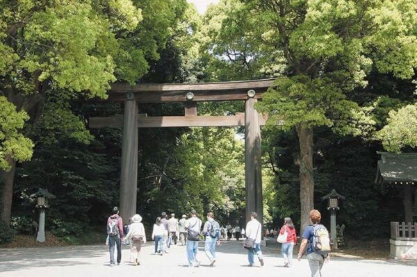 Tokyo :1-Day Bus Tour W/Lunch,Meiji Shrine, Tokyos Main Spot - Lunch Options
