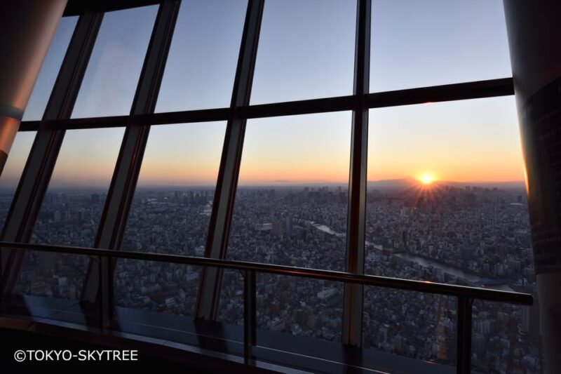 Tokyo: 1 Day Bus Tour with Meiji-Jingu,Odaiba,lunch&Skytree - Practical Tips for Travelers