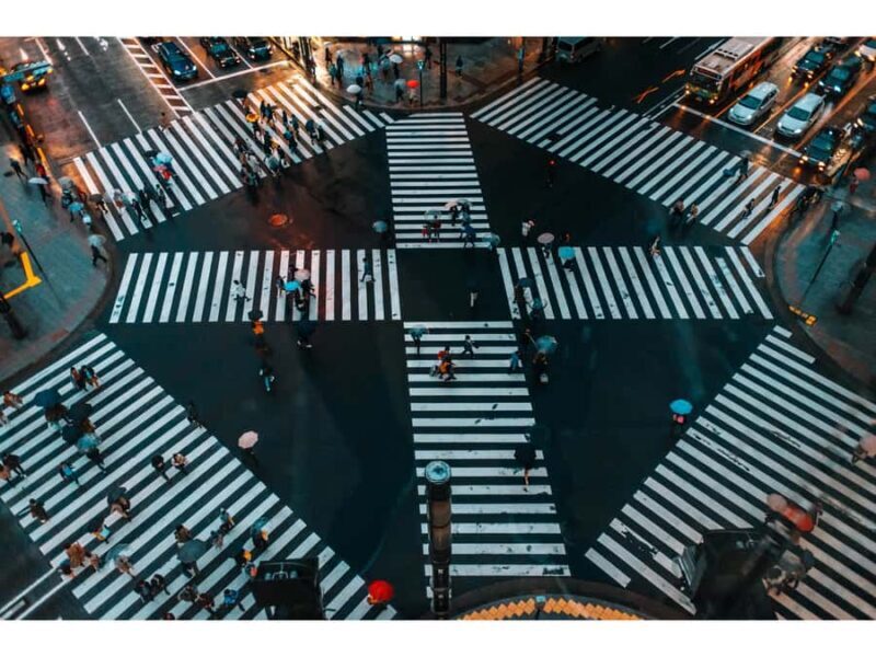 Tokyo: 1-Day Private City Tour with English-speaking Driver - Good To Know