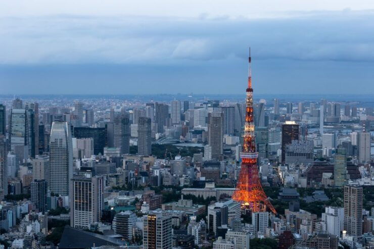Tokyo: 1-Day Private Customizable Tour by Car - Tour Details