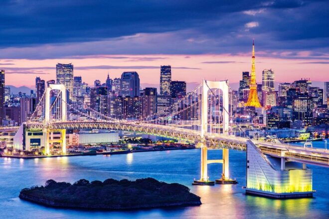 Tokyo: 1-day Private Customizable VIP Tour--Porsche Cayenne - Highlights of the Tour